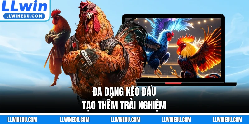 Đa dạng kèo đấu tạo thêm trải nghiệm