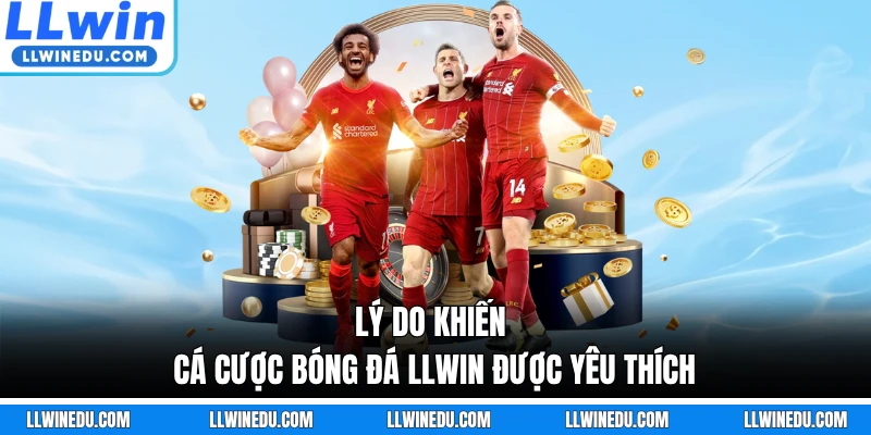 Lý do khiến cá cược bóng đá LLWIN được yêu thích