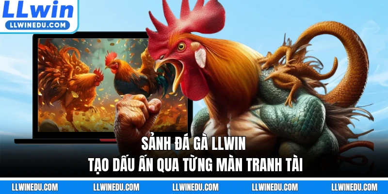 Sảnh đá gà LLWIN tạo dấu ấn qua từng màn tranh tài